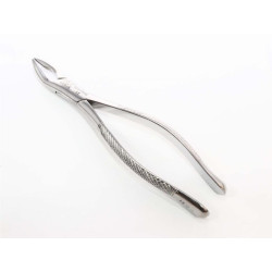 Forcep dental 150A Arain | Instrumental para extraccion | Clinident Chilpancingo