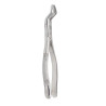 Forcep dental 53L Arain | Extraccion de molares superiores izquierdos | Clinident Chilpancingo