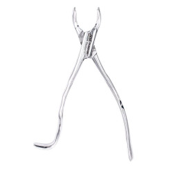 Forcep dental 18R Arain | Extraccion de molares superiores derechos | Clinident Chilpancingo